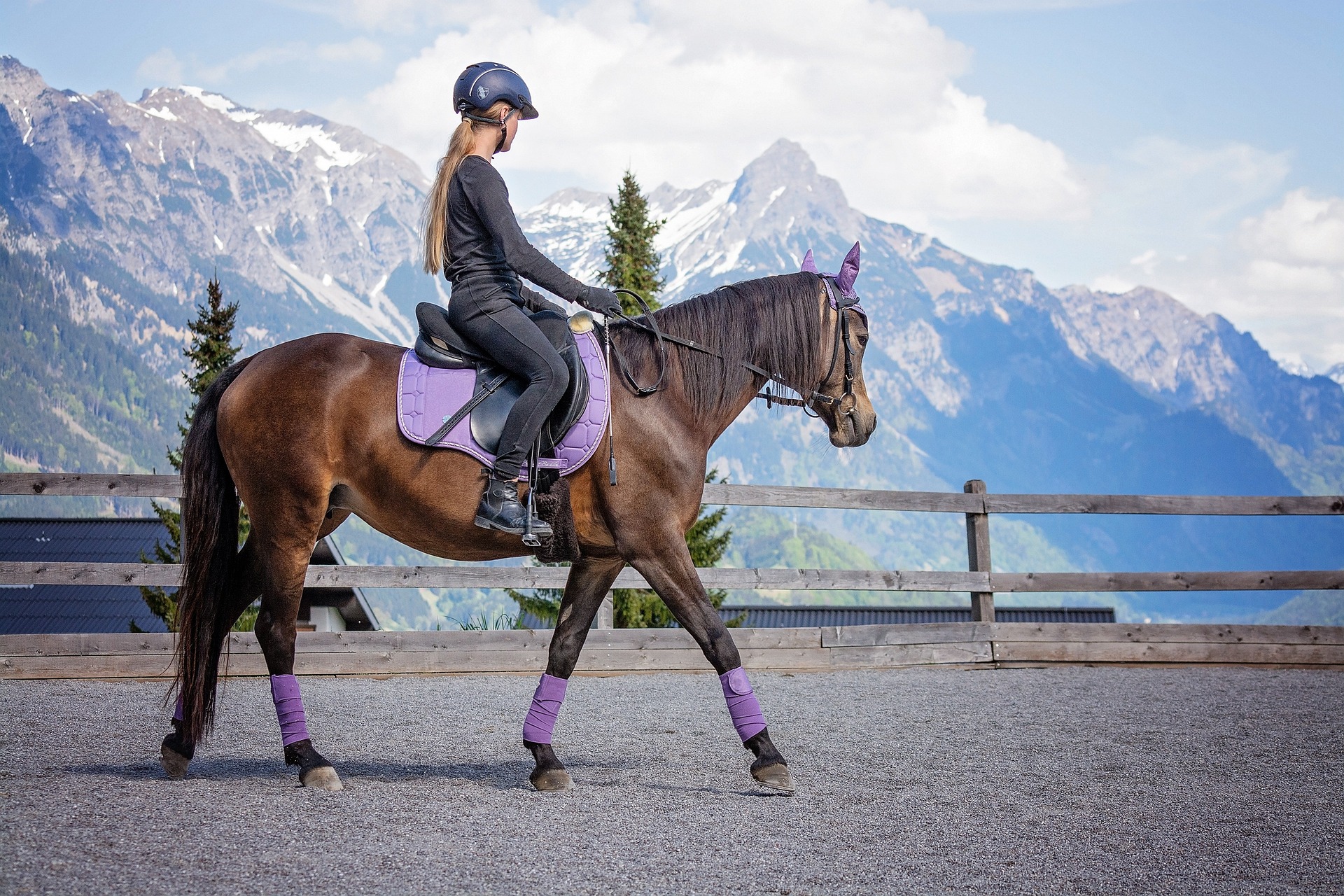 Horse Boarding