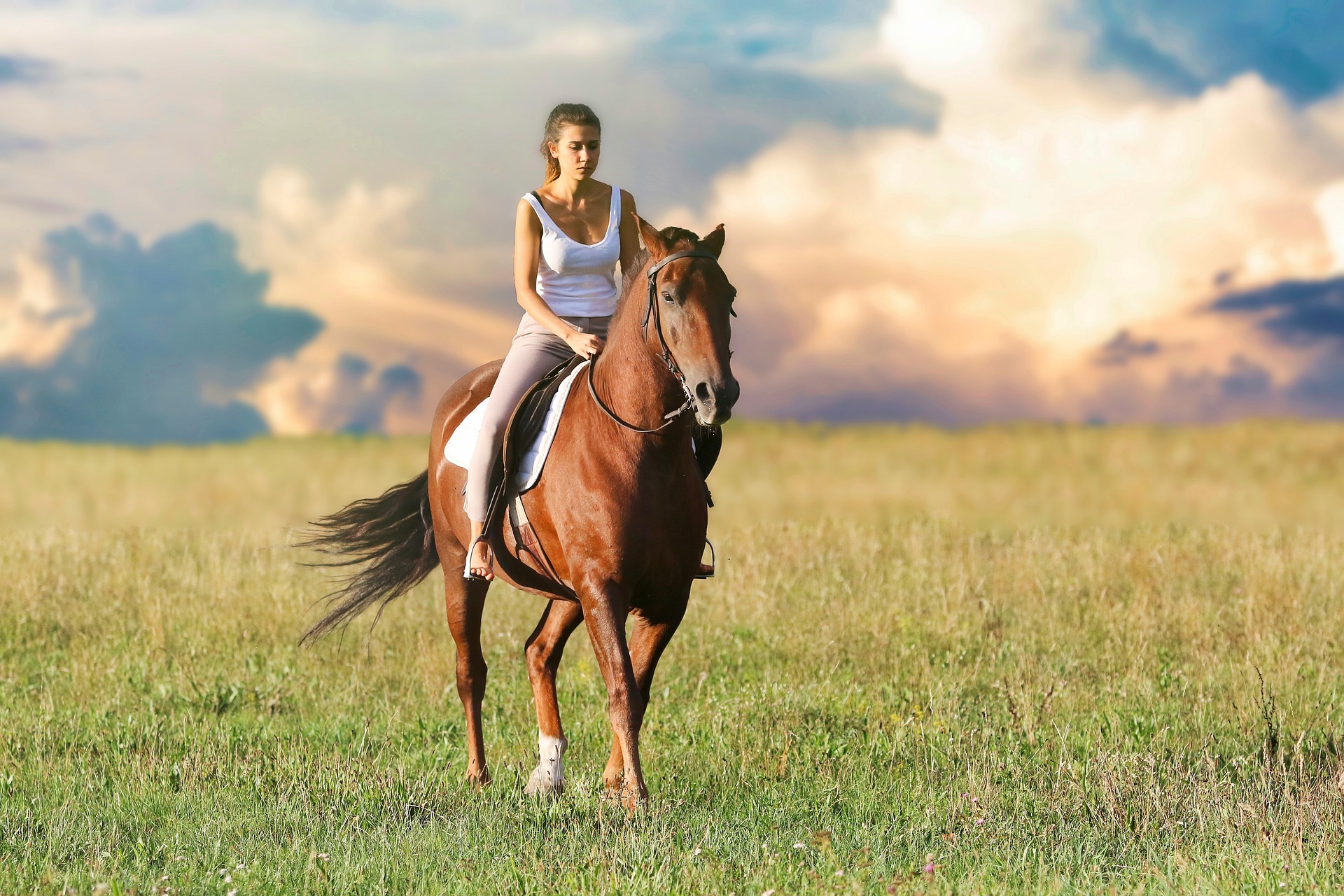 Renting Out Horses