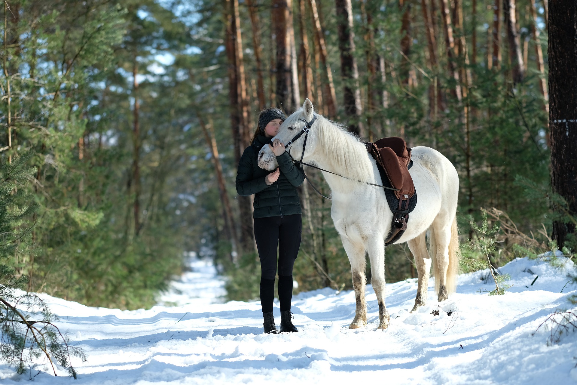 Renting Out Horses