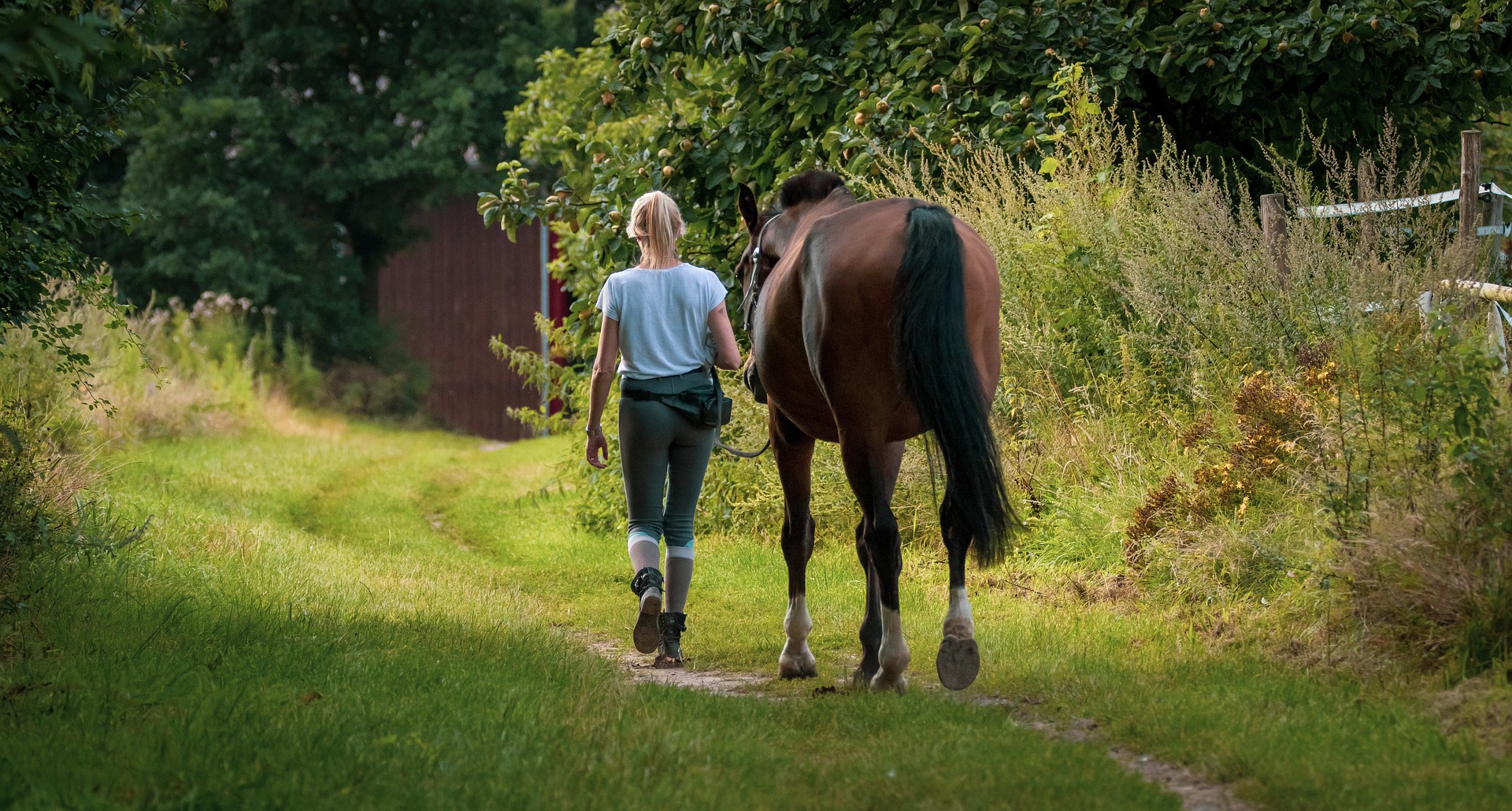 Horse Riding