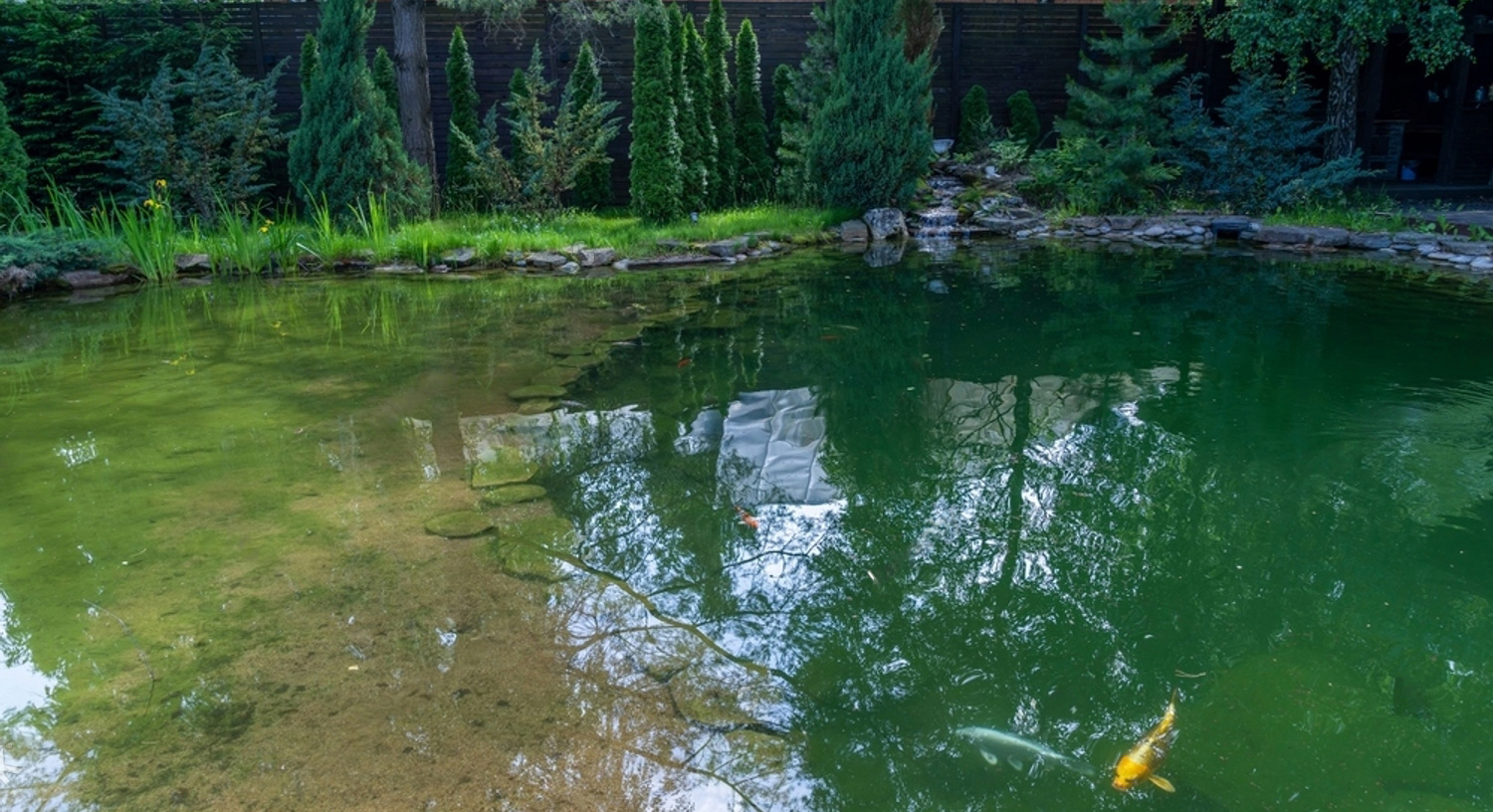 Well-Stocked Pond