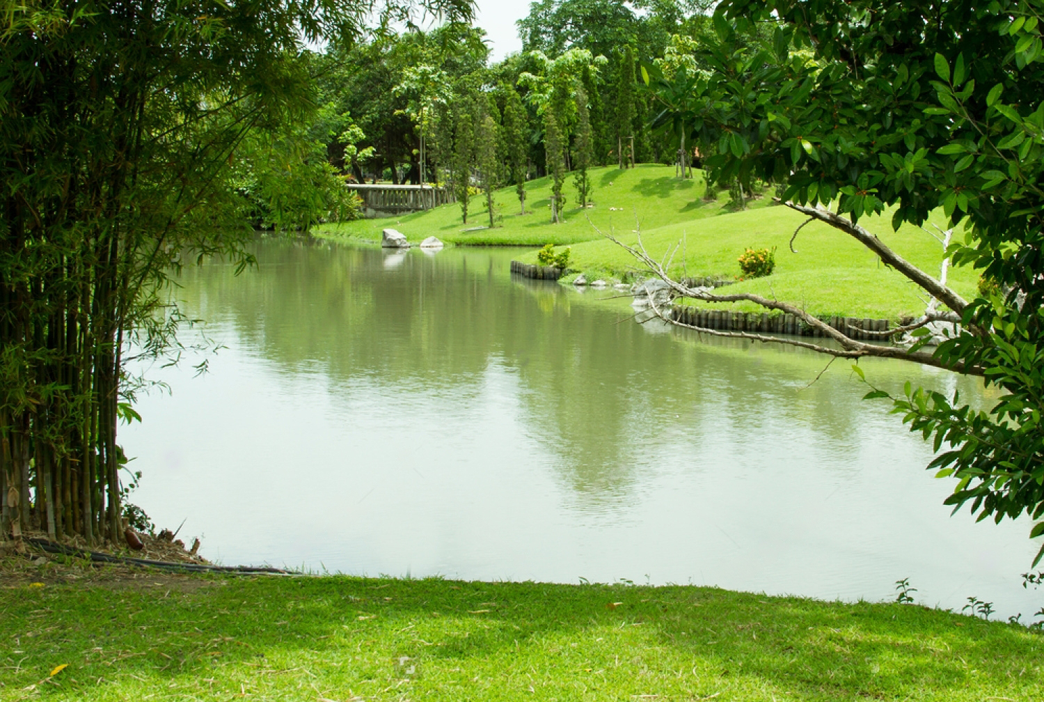 Well-Stocked Pond