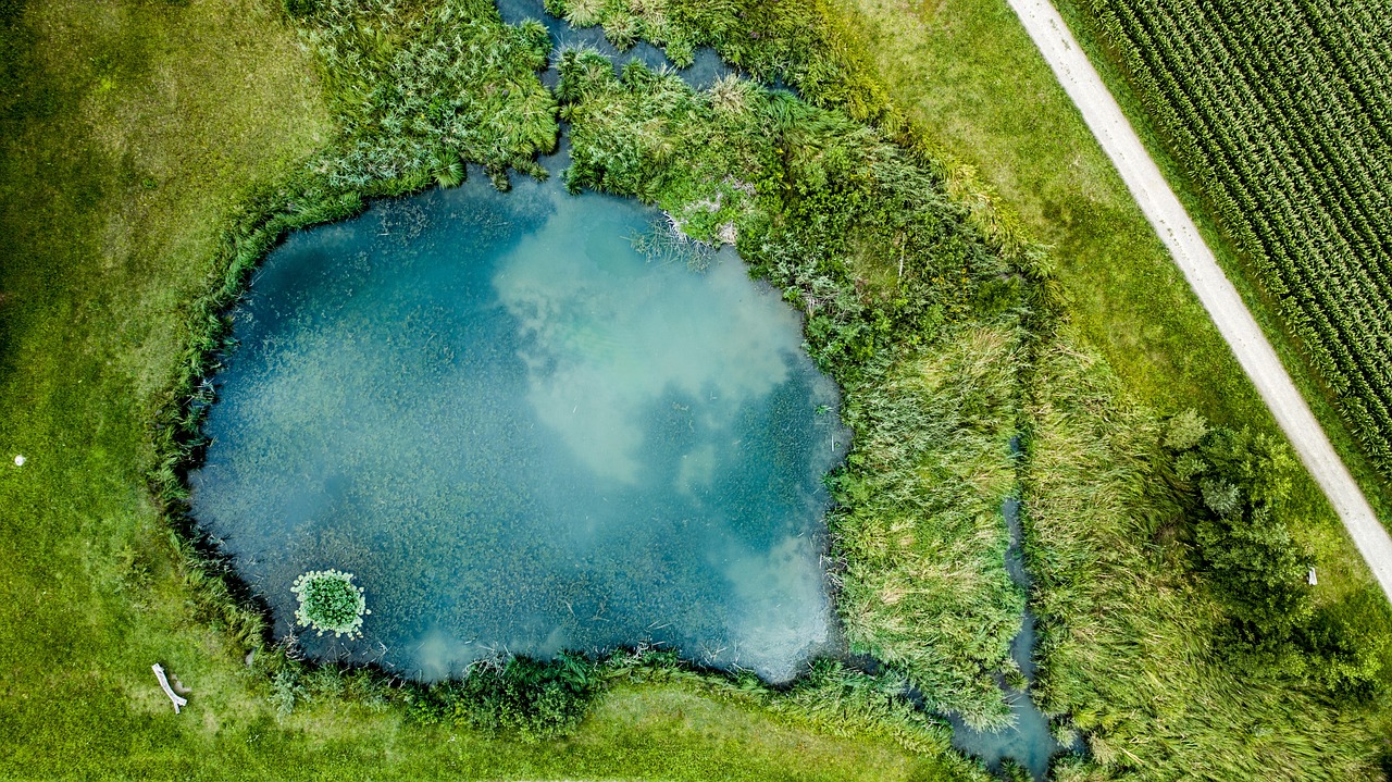 Private Fishing Pond