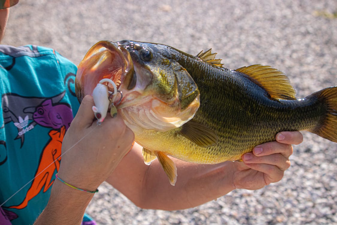 Private Fishing Pond