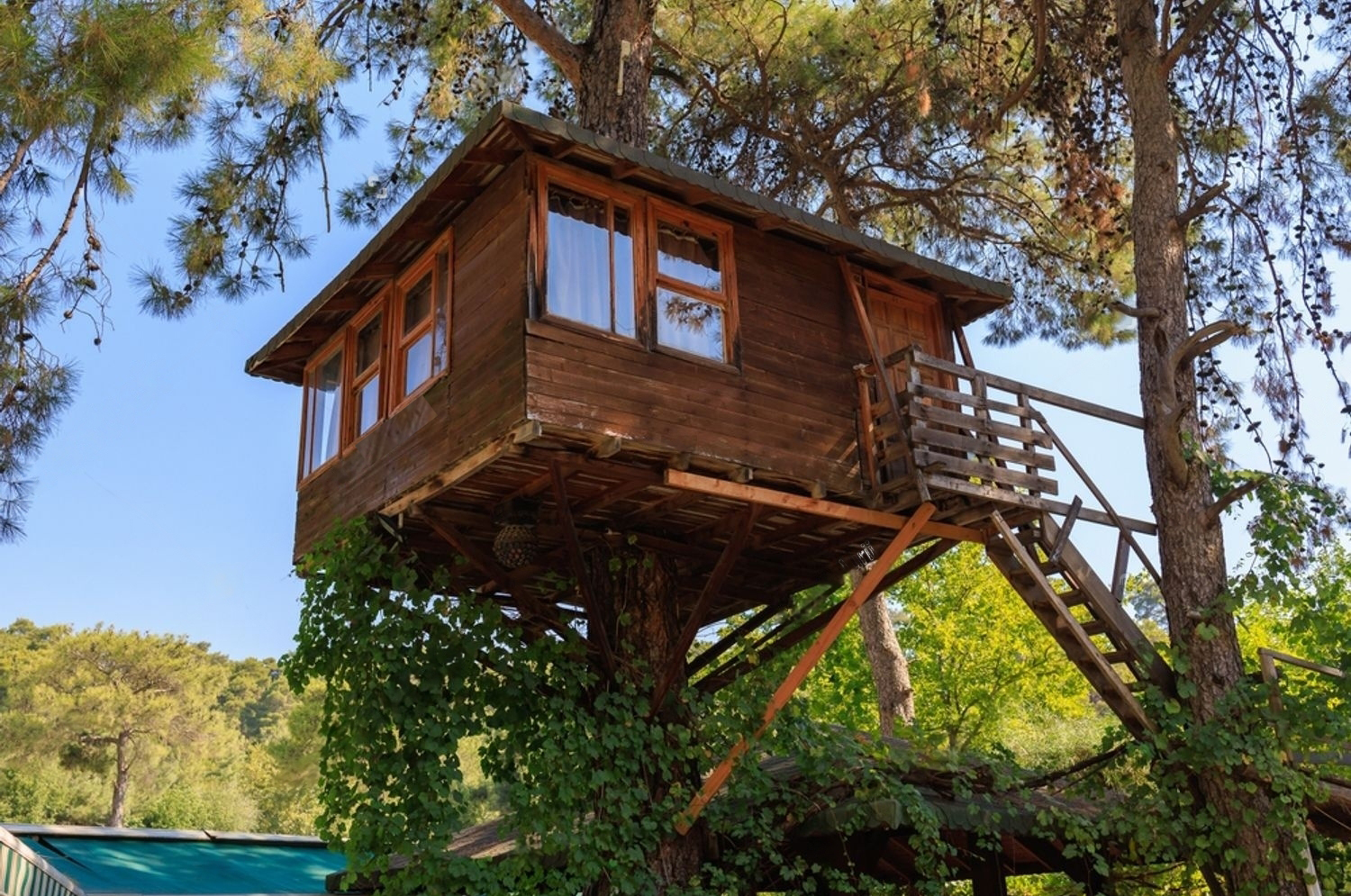 Livable Treehouses