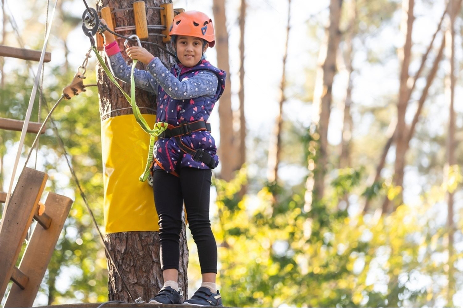 Zip Line Course