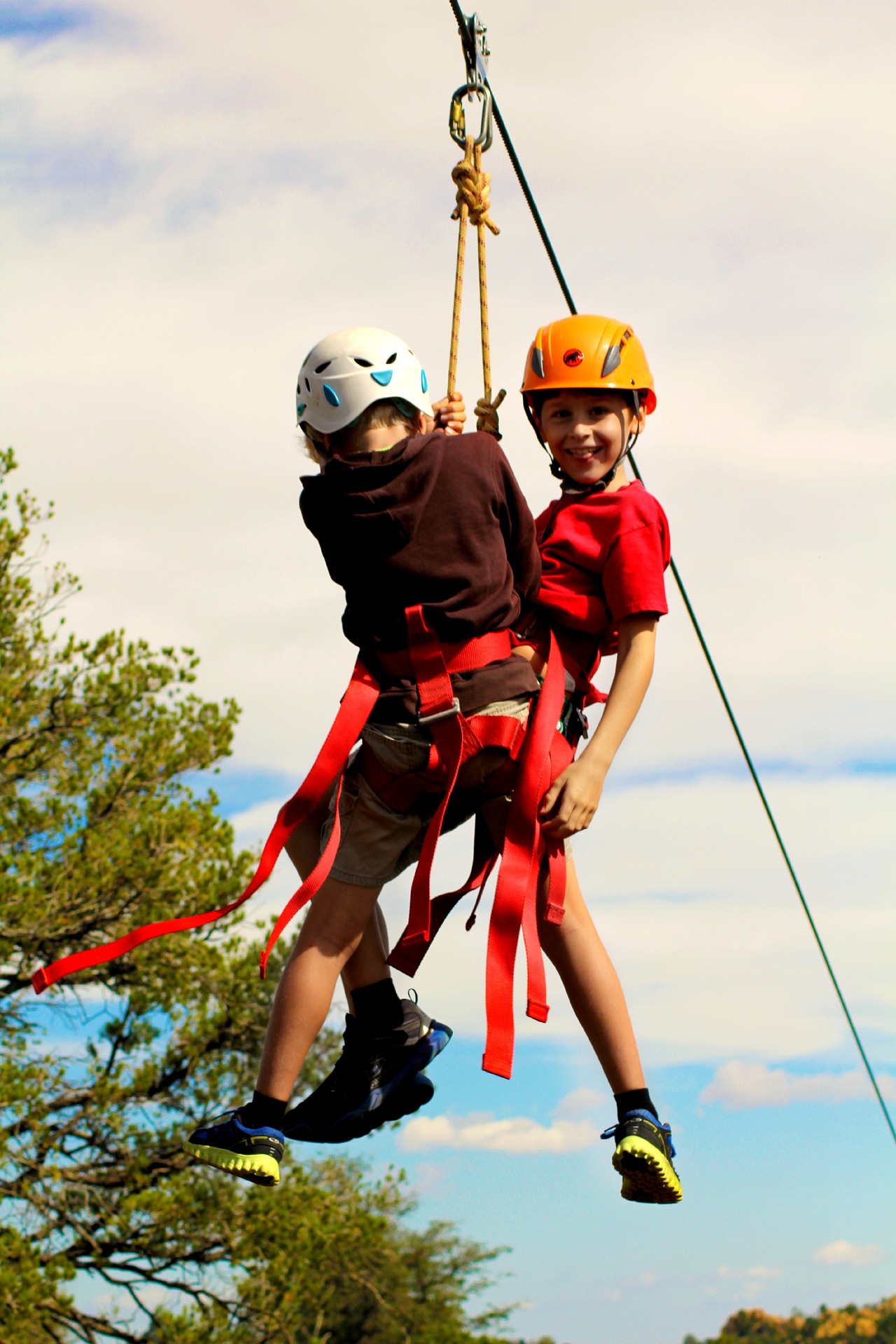 Backyard Zip Line