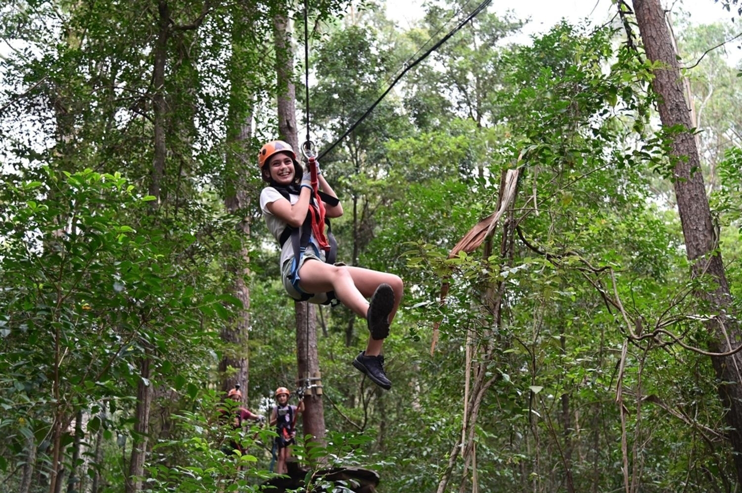 Backyard Zip Line