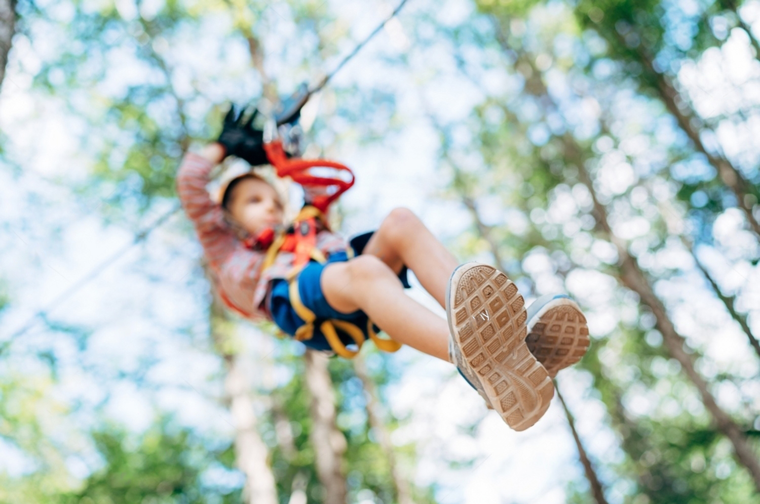 Zip Line Course