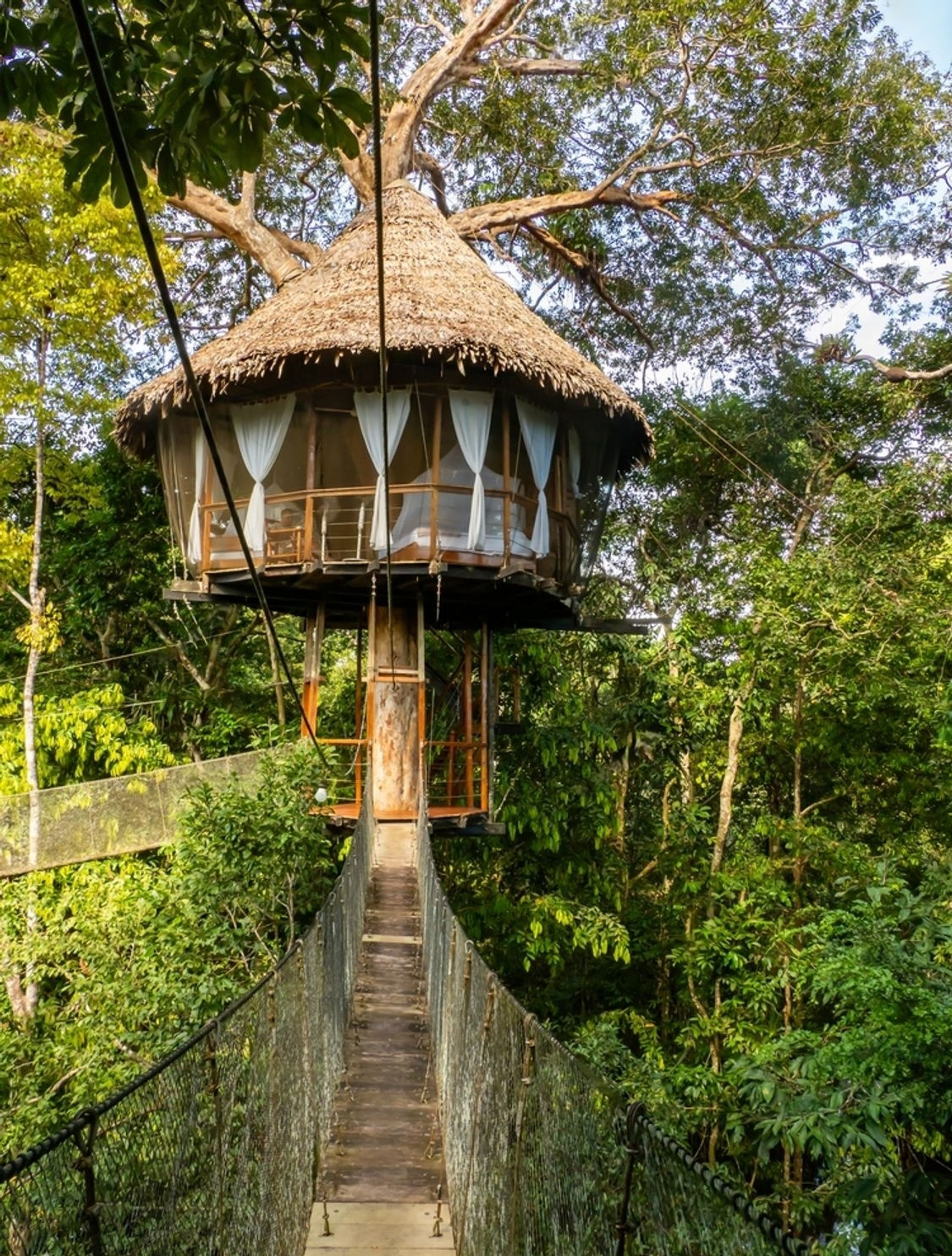 Treehouses