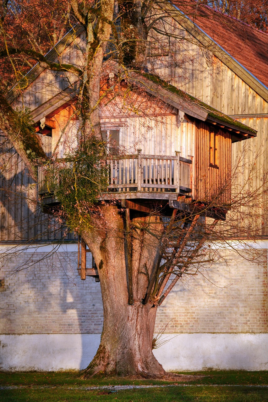 Livable Treehouses